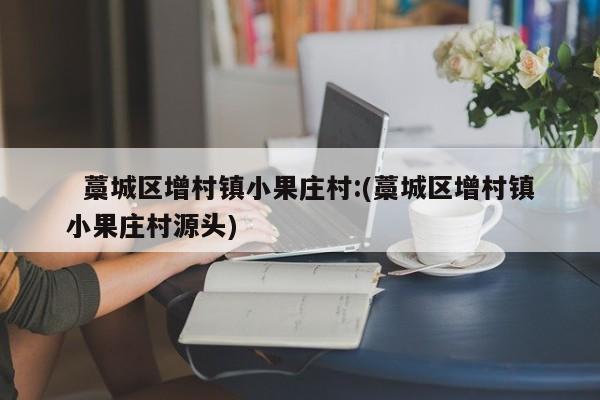   藁城区增村镇小果庄村:(藁城区增村镇小果庄村源头)